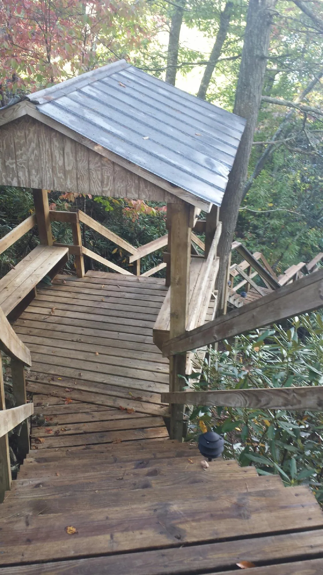 Metal roofed shelter over wooden steps on a wooded walkway — Skylight Repair & Installation work by our crew in Drakesboro
